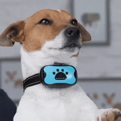 CalmPaw Pro bjeffehalsbånd for hunder med smart gjenkjenning