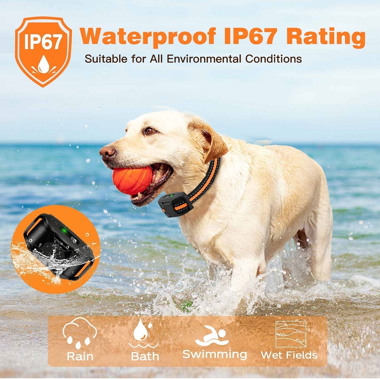 HydraPaw Pro vanntett fjernstyrt hundetreningshalsbånd utendørs