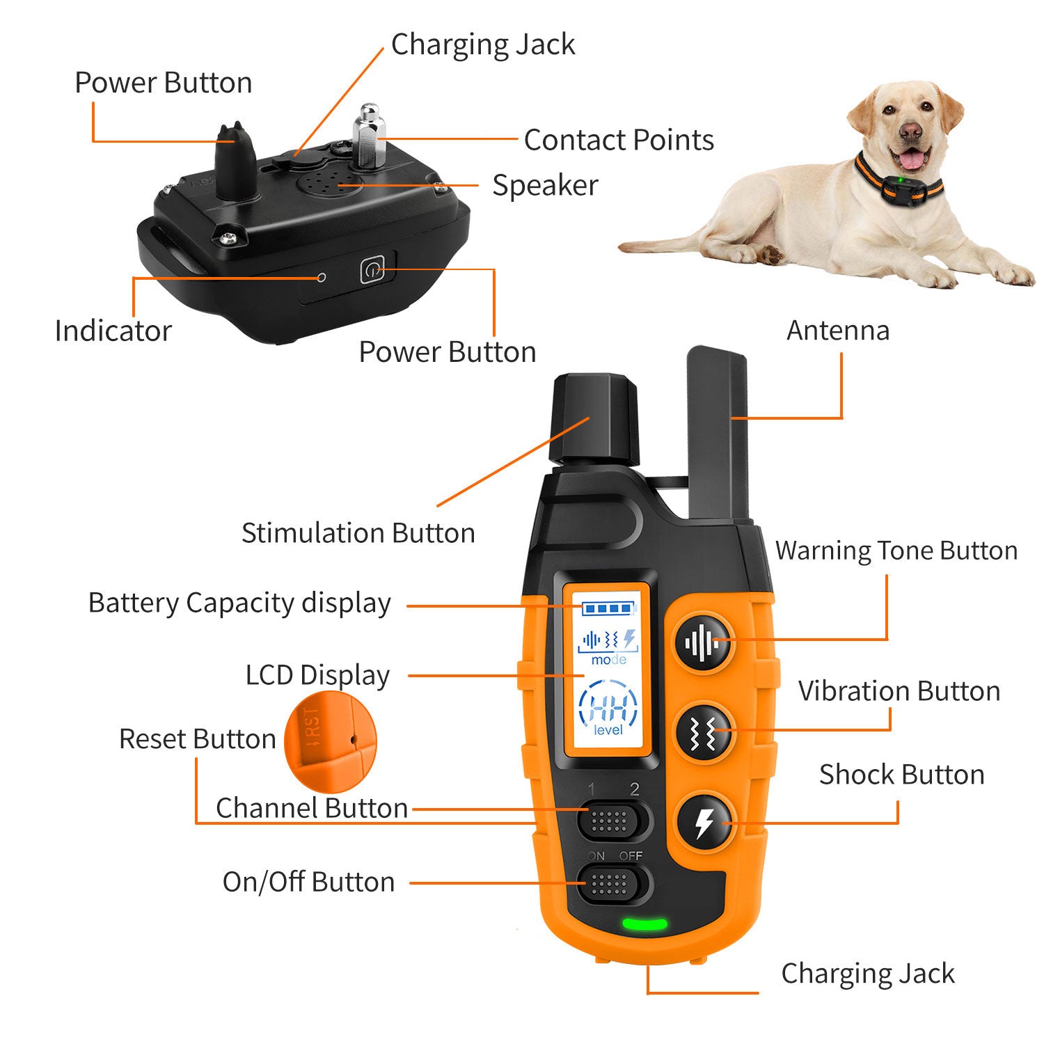 HydraPaw Pro vanntett fjernstyrt hundetreningshalsbånd utendørs