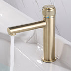 Single-Handle Bathroom Mixer Faucet for Hot and Cold Water | Petprovac