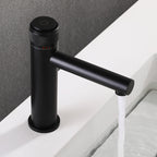 Single-Handle Bathroom Mixer Faucet for Hot and Cold Water | Petprovac