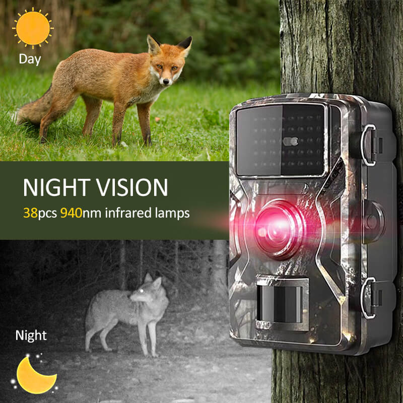 Cámara para vida silvestre al aire libre con visión nocturna WildLensPro, paquete de 2 unidades