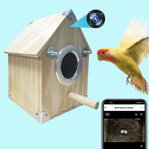 AvianVue fuglerede-kamera foderkasse med 4MP natvision