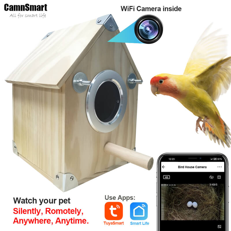AvianVue fuglerede-kamera foderkasse med 4MP natvision