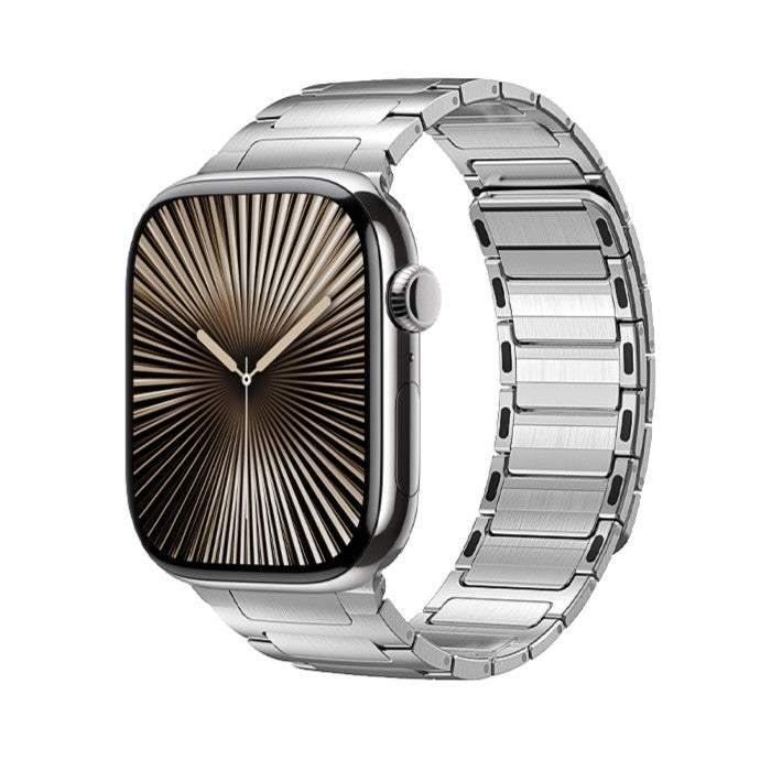 Kirrea Magnetic Stainless Steel Band for Apple Watch | Petprovac