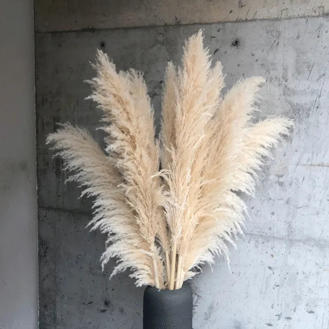 Aurea Meadow Boho Dried Pampas Grass for Home Decor