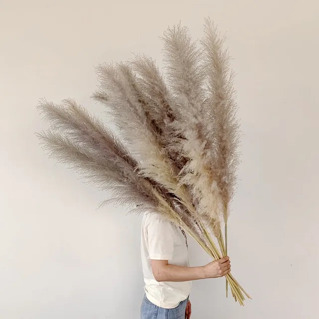 Aurea Meadow Boho Dried Pampas Grass for Home Decor