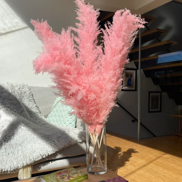 Aurea Meadow Boho Dried Pampas Grass for Home Decor