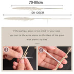 Aurea Meadow Boho Dried Pampas Grass for Home Decor