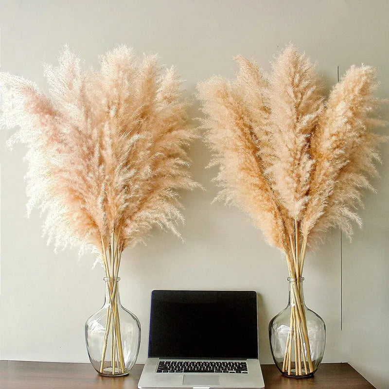 Aurea Meadow Boho Dried Pampas Grass for Home Decor