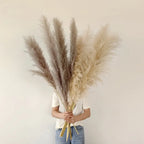 Aurea Meadow Boho Dried Pampas Grass for Home Decor