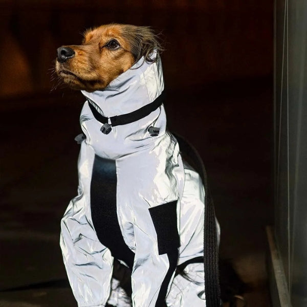BarkDry vanntett reflekterende hundedekken med ben, UK