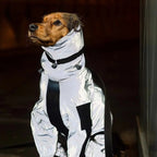 BarkDry vanntett reflekterende hundedekken med ben, UK
