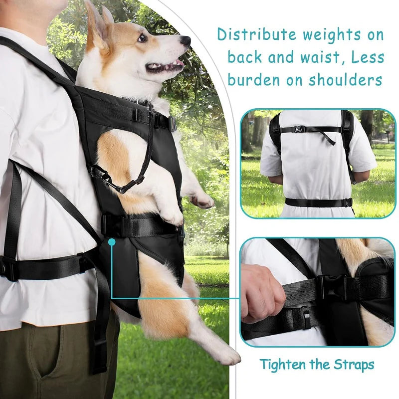 Rucsac transportor pentru câini LumaTrail cu vedere frontală pentru activități în aer liber