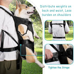 Rucsac transportor pentru câini LumaTrail cu vedere frontală pentru activități în aer liber