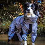 BarkDry vanntett reflekterende hundedekken med ben, UK
