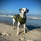 Pawhaven | Hundejakke