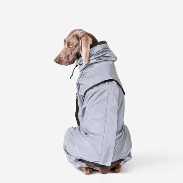 BarkDry vanntett reflekterende hundedekken med ben, UK