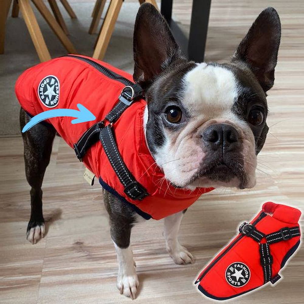 Pawhaven | Hundejakke