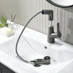 Tavero | シングルホール スイベル プルアウト 蛇口 | Petprovac