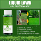Hydroseed Solution for Lawn Renovation – so you can be proud of your lawn again