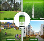 Hydroseed Solution for Lawn Renovation – so you can be proud of your lawn again