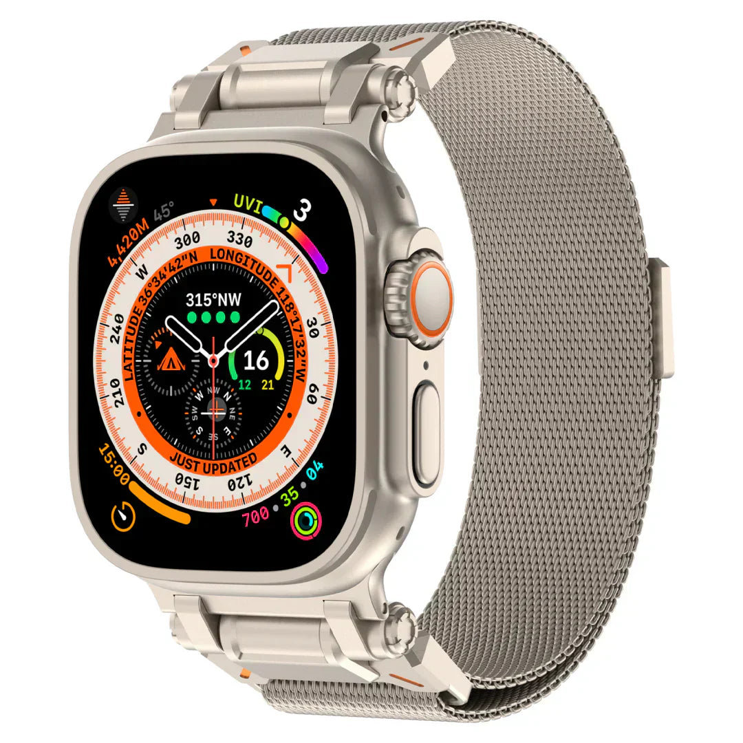 Averon Milanese Loop Band For Apple Watch | Petprovac
