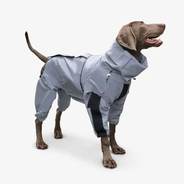 BarkDry vanntett reflekterende hundedekken med ben, UK