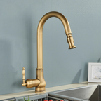 AstraNova Vintage Brass Kitchen Faucet With Swivel Spout And Black Accent