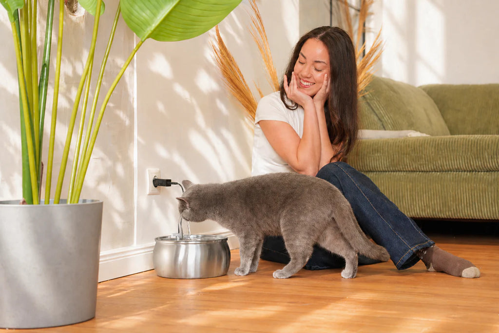 Fontaine à eau pour chat en acier inoxydable avec pompe silencieuse et filtre multi-étapes pour une hydratation quotidienne