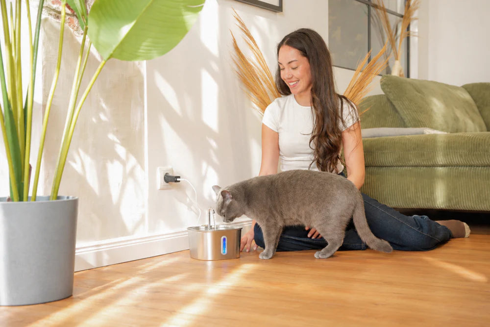 Fuente compacta para gatos de acero inoxidable con bomba silenciosa y filtro de varias etapas para hidratación diaria