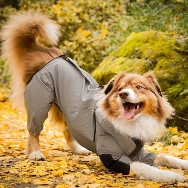 BarkDry vanntett reflekterende hundedekken med ben, UK