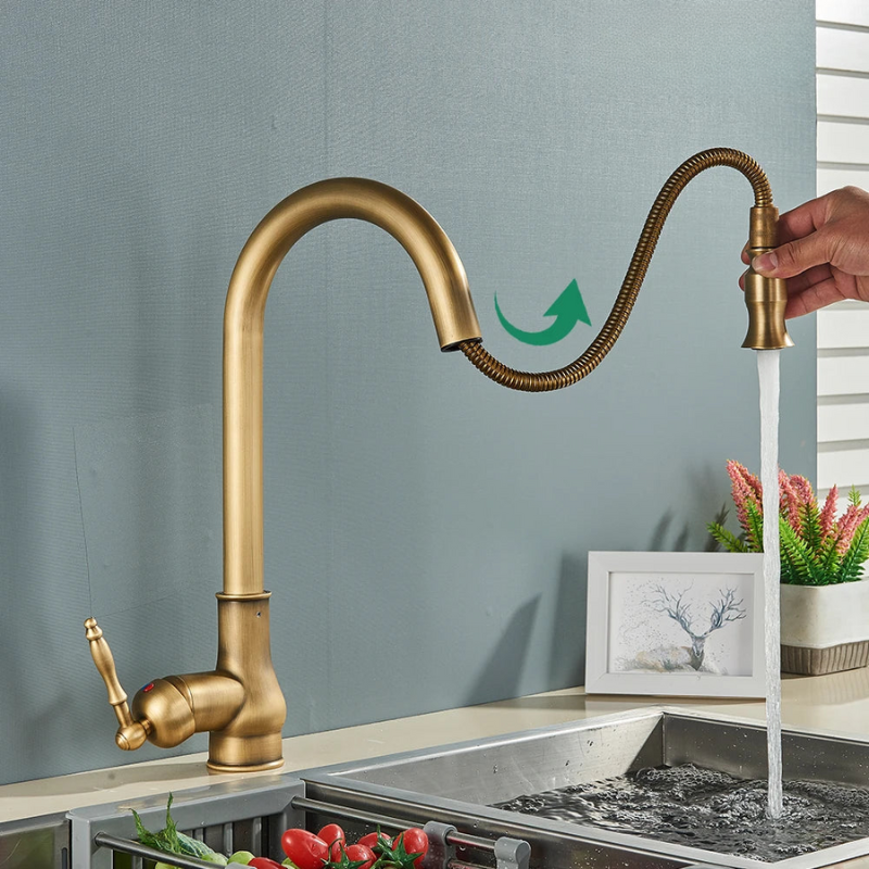 AstraNova Vintage Brass Kitchen Faucet With Swivel Spout And Black Accent