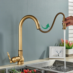 AstraNova Vintage Brass Kitchen Faucet With Swivel Spout And Black Accent
