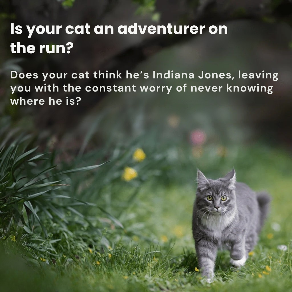 PawTrail GPS Katzen-Tracker Leicht Wasserdicht Echtzeit-Tracking