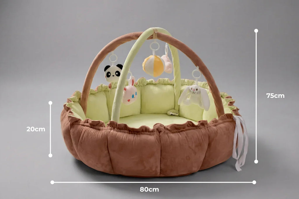 2-in-1 Play Mat and Sensory Arch – Floor Gym for Baby's First Year