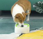 Distributeur d'eau pour animaux PawPure pour une hydratation propre au quotidien