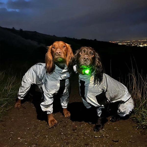 BarkDry vanntett reflekterende hundedekken med ben, UK