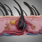 Red LED Light Therapy Cap for Scalp Care & Hair Wellness Routine