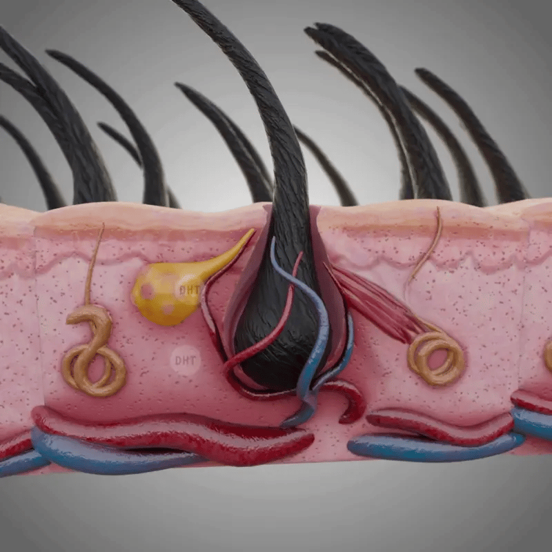 Red LED Light Therapy Cap for Scalp Care & Hair Wellness Routine