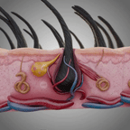NovaLuma Hårvækst Rødt Lys Terapi Kasket til Hjemmebrug