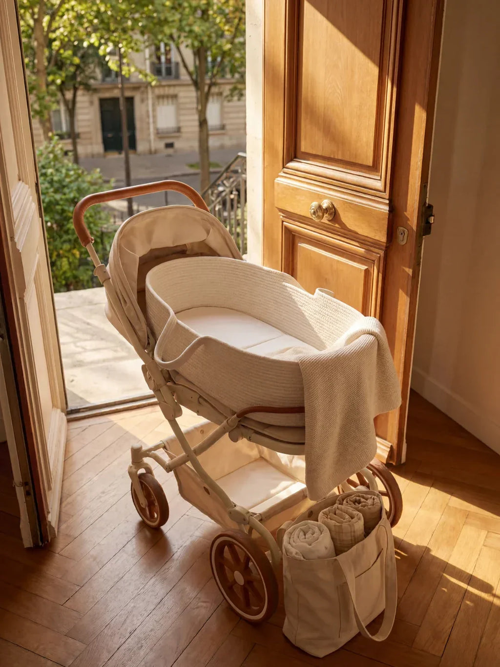 Portable Woven Cotton Moses Basket With Mattress For Nursery | petprovac