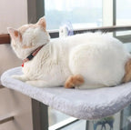 Cozy Hanging Cat Hammock For Cats And Kittens Comfortable Lounger