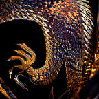 Takumi | Ručně vyráběná sklenice na whisky Soaring Dragon v dřevěné krabičce | Petprovac