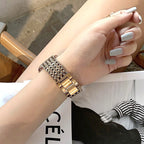 Seafina | 不锈钢表带