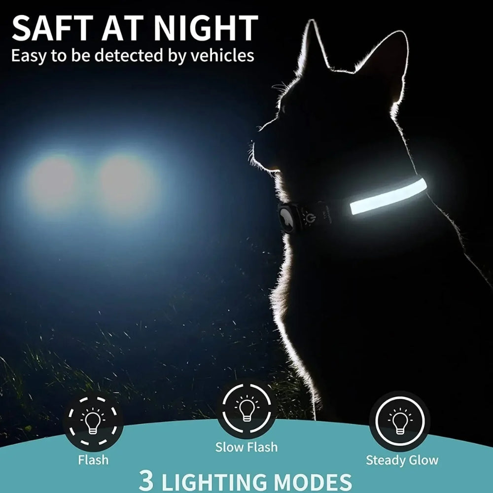 Collar impermeable LED LumaPaw con ranura para rastreador para perros