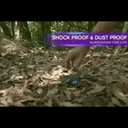 LumaCharge Huippu 50000mAh Aurinkoinen Vedenpitävä Virtapankki