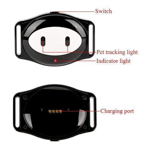 PawTrail Vandtæt GPS kæledyrstracker | Petprovac