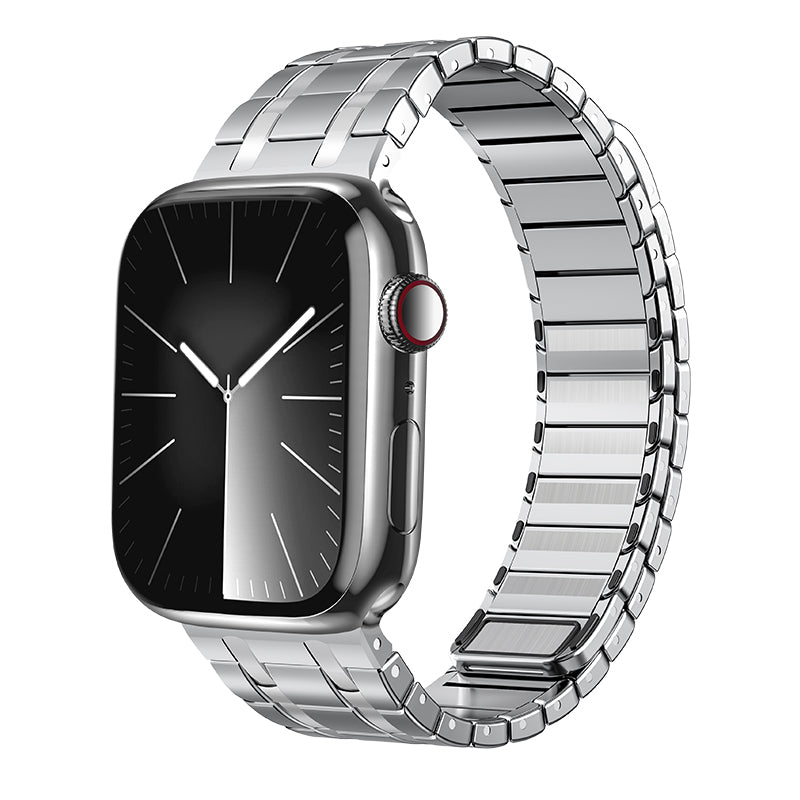 Alera | Frostet rustfritt stål magnetisk rem for Apple Watch | Petprovac
