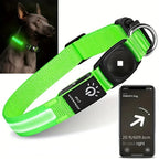 Collar impermeable LED LumaPaw con ranura para rastreador para perros